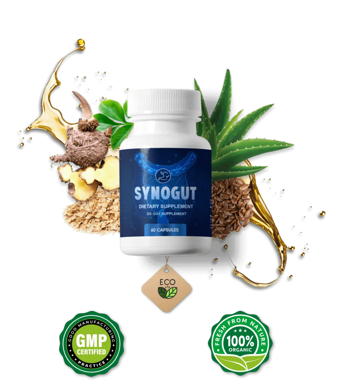 SynoGut ordr long